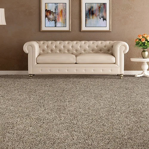 Pandolfi House Of Carpets & Flooring providing stain-resistant pet proof carpet in Springfield, PA